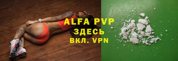 индика Абаза