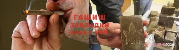 индика Абаза