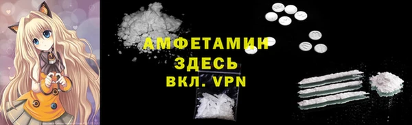 индика Абаза