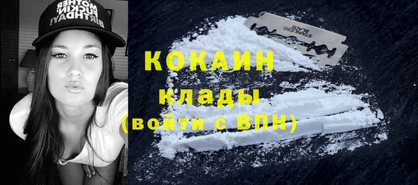 индика Абаза
