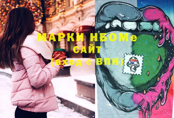 индика Абаза