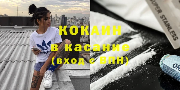 индика Абаза