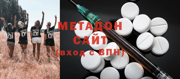 индика Абаза
