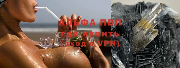 индика Абаза