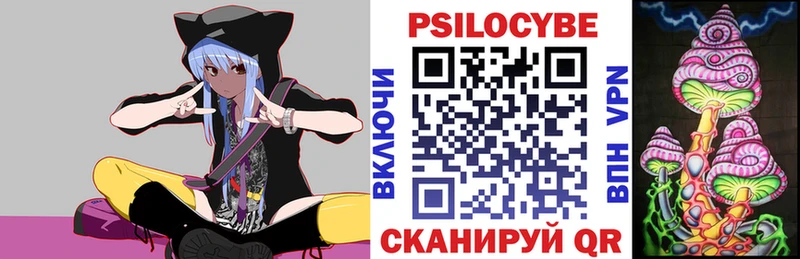 где купить наркоту  Курск  Псилоцибиновые грибы GOLDEN TEACHER 